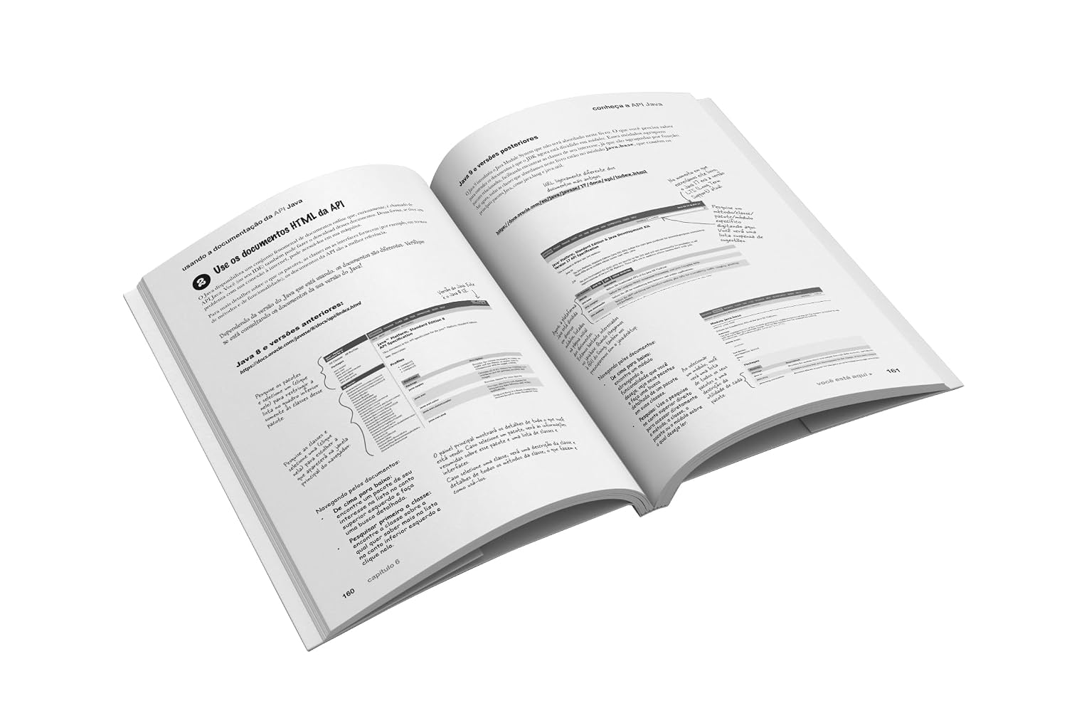 Use a Cabeça Java – 3ª Edição: guia do aprendiz para programação no mundo real