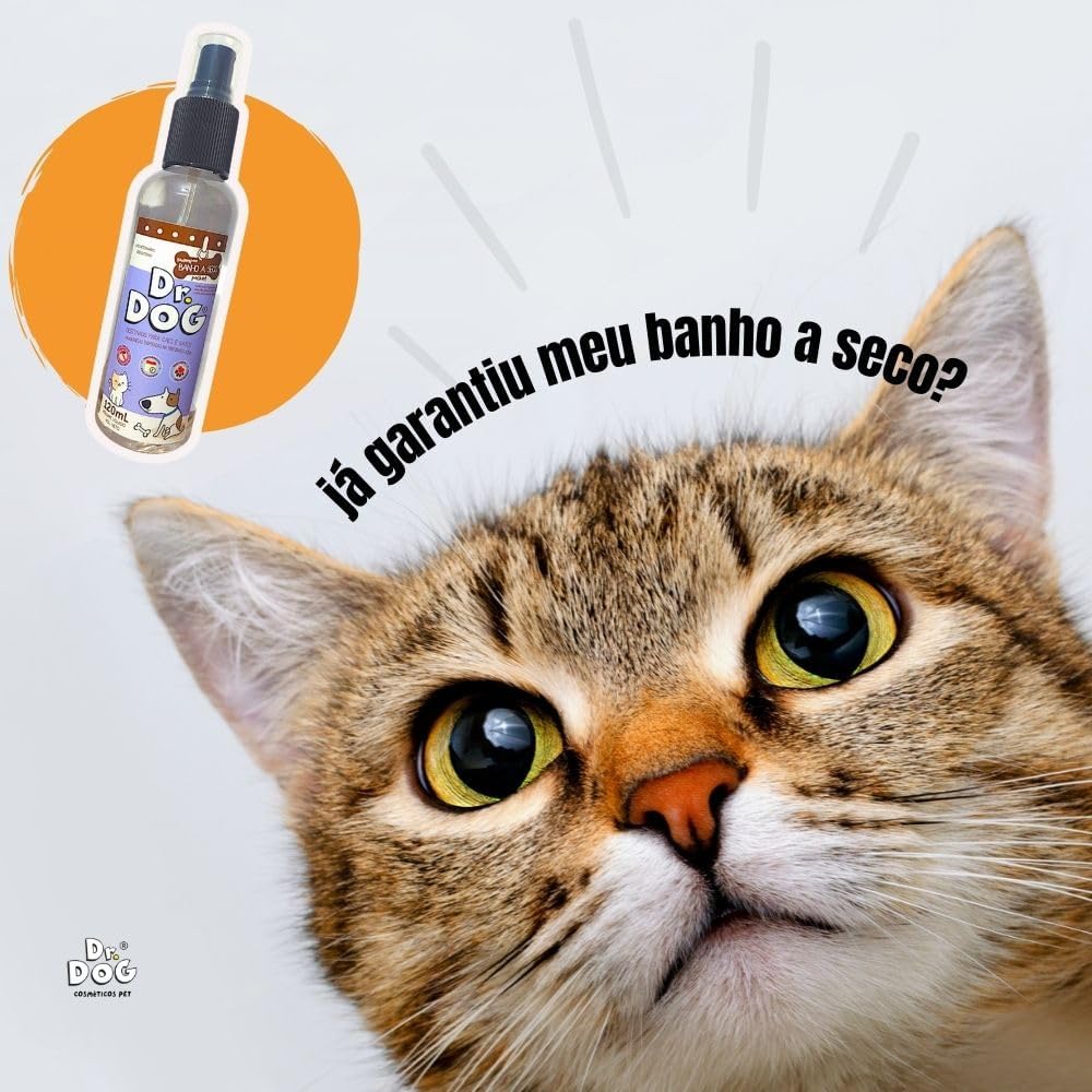 Banho a Seco Limpa Patinhas Higienizador Dr Dog