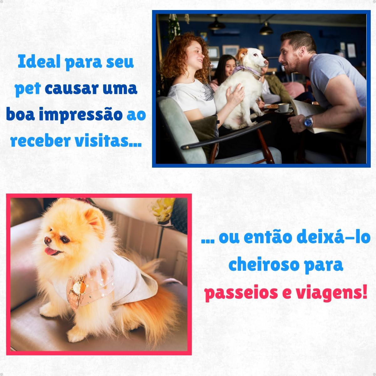 Kit Banho e Tosa Pet Shop Shampoo 5 Em 1 700ml + Creme Condicionador 700ml + Perfume 120ml Cães E Gatos Pet Clean - Filhote